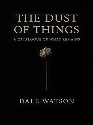 cover image of The Dust You Do Not See